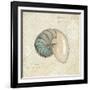 Beach Treasures III-Emily Adams-Framed Art Print