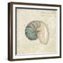 Beach Treasures III-Emily Adams-Framed Art Print