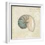 Beach Treasures III-Emily Adams-Framed Art Print