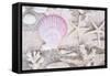 Beach Treasures IV-Cora Niele-Framed Stretched Canvas