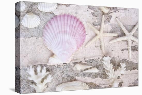 Beach Treasures IV-Cora Niele-Stretched Canvas