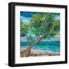 Beach Tree-null-Framed Art Print