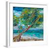 Beach Tree-null-Framed Art Print