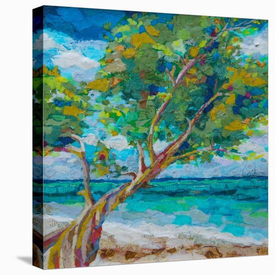 Beach Tree-null-Stretched Canvas