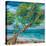 Beach Tree-null-Stretched Canvas