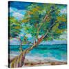 Beach Tree-null-Stretched Canvas