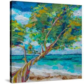 Beach Tree-null-Stretched Canvas