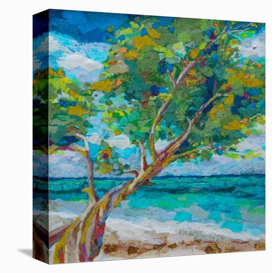 Beach Tree-null-Stretched Canvas