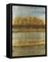 Beach Trees-Liz Jardine-Framed Stretched Canvas