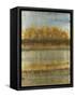 Beach Trees-Liz Jardine-Framed Stretched Canvas