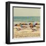 Beach Trip I-Gail Peck-Framed Art Print