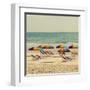 Beach Trip I-Gail Peck-Framed Art Print