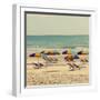 Beach Trip I-Gail Peck-Framed Art Print