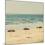 Beach Trip II-Gail Peck-Mounted Art Print