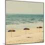 Beach Trip II-Gail Peck-Mounted Art Print