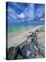 Beach, Turks and Caicos Islands, UK-Stefano Amantini-Stretched Canvas