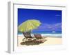 Beach Umbrella, Abaco, Bamahas-Michael DeFreitas-Framed Photographic Print