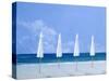 Beach Umbrellas, 2005-Lincoln Seligman-Stretched Canvas
