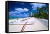 Beach Umbrellas and Outrigger Canoe-George Oze-Framed Stretched Canvas