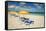 Beach umbrellas on Grace Bay Beach, Providenciales, Turks and Caicos Islands, Caribbean.-Michael DeFreitas-Framed Stretched Canvas