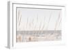 Beach_Vass_002-1x Studio III-Framed Photographic Print