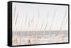 Beach_Vass_002-1x Studio III-Framed Stretched Canvas