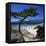 Beach View, Cala Rossa, South East Corsica, Corsica, France, Mediterranean, Europe-Stuart Black-Framed Stretched Canvas