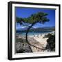 Beach View, Cala Rossa, South East Corsica, Corsica, France, Mediterranean, Europe-Stuart Black-Framed Photographic Print