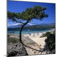 Beach View, Cala Rossa, South East Corsica, Corsica, France, Mediterranean, Europe-Stuart Black-Mounted Photographic Print