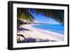 Beach View from Under a Palm Tree, Puerto Rico-George Oze-Framed Photographic Print