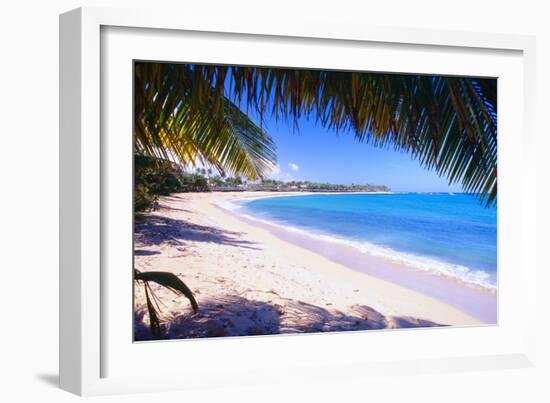 Beach View from Under a Palm Tree, Puerto Rico-George Oze-Framed Photographic Print