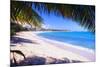 Beach View from Under a Palm Tree, Puerto Rico-George Oze-Mounted Photographic Print