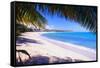 Beach View from Under a Palm Tree, Puerto Rico-George Oze-Framed Stretched Canvas