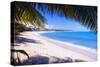 Beach View from Under a Palm Tree, Puerto Rico-George Oze-Stretched Canvas
