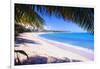 Beach View from Under a Palm Tree, Puerto Rico-George Oze-Framed Photographic Print