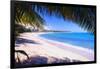 Beach View from Under a Palm Tree, Puerto Rico-George Oze-Framed Photographic Print