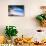 Beach View from Under a Palm Tree, Puerto Rico-George Oze-Photographic Print displayed on a wall