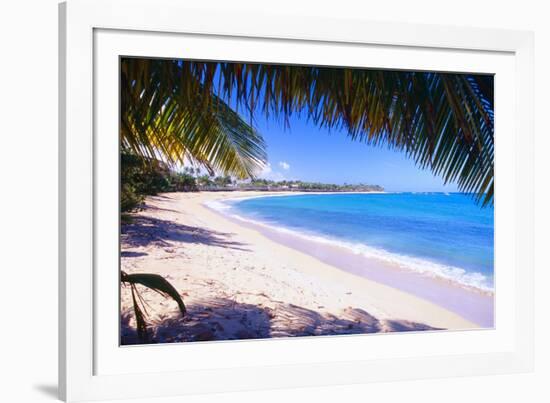 Beach View from Under a Palm Tree, Puerto Rico-George Oze-Framed Photographic Print