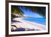 Beach View from Under a Palm Tree, Puerto Rico-George Oze-Framed Photographic Print