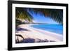 Beach View from Under a Palm Tree, Puerto Rico-George Oze-Framed Photographic Print