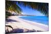 Beach View from Under a Palm Tree, Puerto Rico-George Oze-Mounted Photographic Print