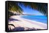 Beach View from Under a Palm Tree, Puerto Rico-George Oze-Framed Stretched Canvas