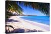 Beach View from Under a Palm Tree, Puerto Rico-George Oze-Stretched Canvas