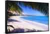 Beach View from Under a Palm Tree, Puerto Rico-George Oze-Framed Stretched Canvas