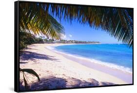 Beach View from Under a Palm Tree, Puerto Rico-George Oze-Framed Stretched Canvas