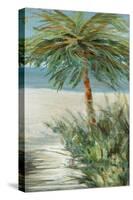 Beach Walk II-Carol Robinson-Stretched Canvas