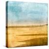 Beach Walk-Pete Kelly-Stretched Canvas