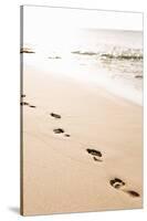 Beach Walk-Karyn Millet-Stretched Canvas