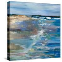 Beach Walk-Jeanette Vertentes-Stretched Canvas