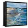 Beach Walk-Jeanette Vertentes-Framed Stretched Canvas